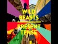 Wild Beasts - Past Perfect 