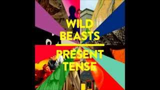 Wild Beasts - Past Perfect