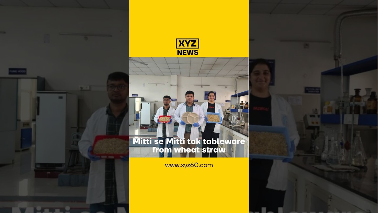Mitti se Mitti tak tableware from wheat straw