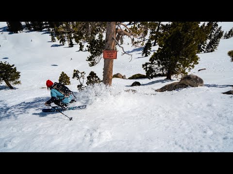 TGR Tested: Line Pandora 104