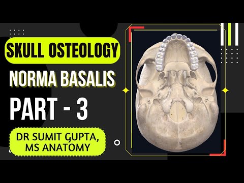 NORMA BASALIS ( Part : 3/3 )