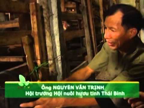 Kỹ Thuật Làm Chuồng Chăn Nuôi Hươu Sao 1