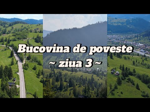 Transrarau. Peisaje de basm si concluzia despre zilele petrecute in Bucovina.