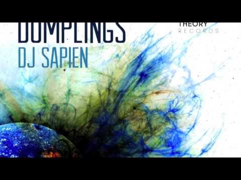 Pragmatic Theory Present : DJ Sapien - Dumplings (OUT NOW FREE ALBUM D/L LINK IN DESCRIPTION)