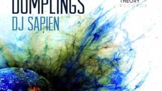 Pragmatic Theory Present : DJ Sapien - Dumplings (OUT NOW FREE ALBUM D/L LINK IN DESCRIPTION)
