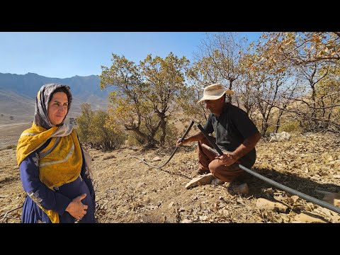 Investigating the Mountain Pipe Mystery: Will We Find the Vandal Who Cut the Water Line?