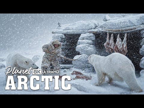 Wild Arctic 2026 | Yakutian Surviving a Polar Bear Attack | Full Documentary