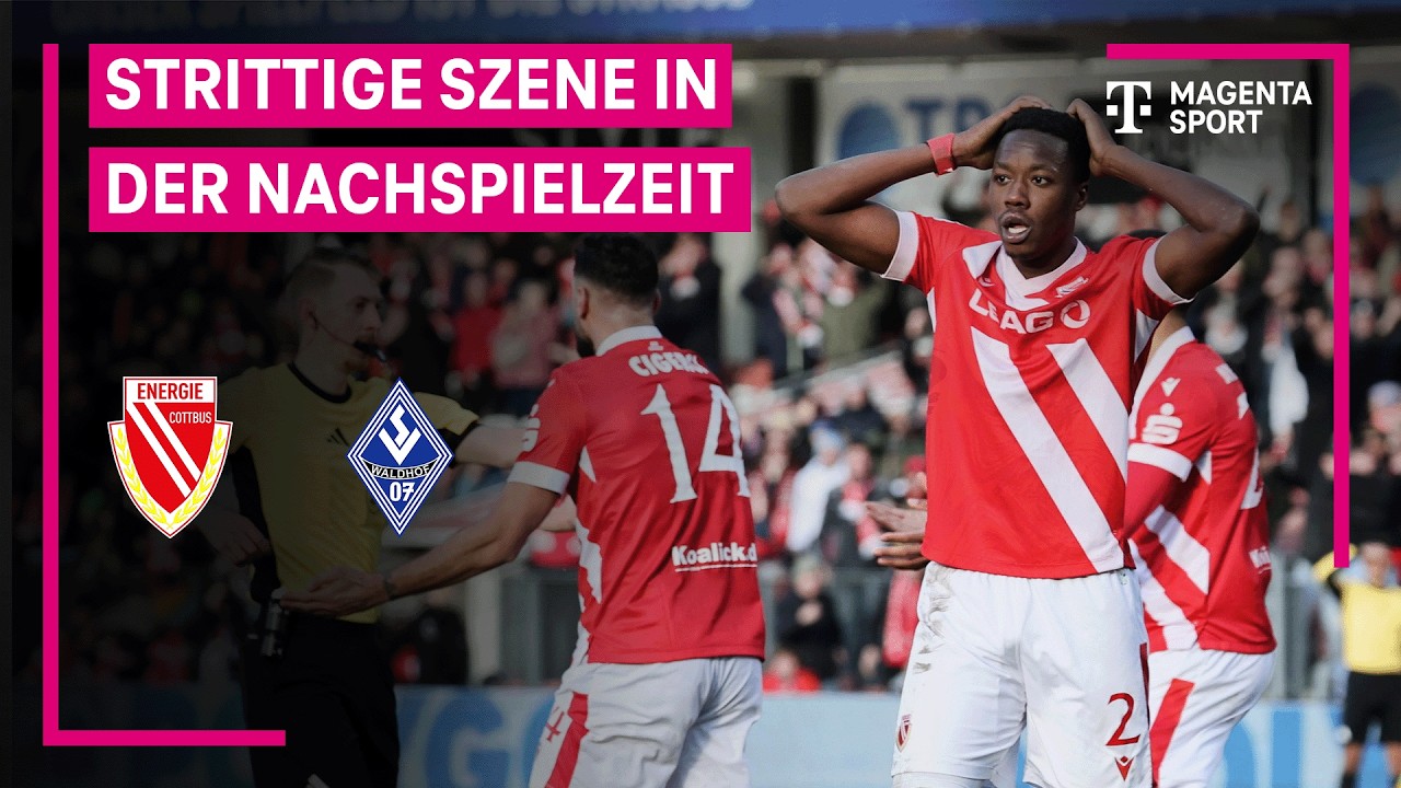 Energie Cottbus vs SV Waldhof Mannheim Highlights