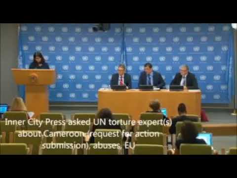 JOURNALIST QUESTIONS UNITED NATIONS ON SOUTHERN CAMEROON CRISIS