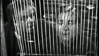 Video-Thumbnail von YouTube