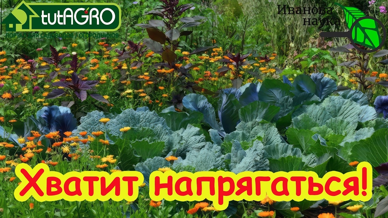 Попрощайтесь с белокрылкой, блошкой и болезнями в саду и в огороде! Это средс