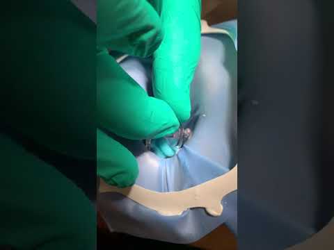 Building the Gentlewave Platform