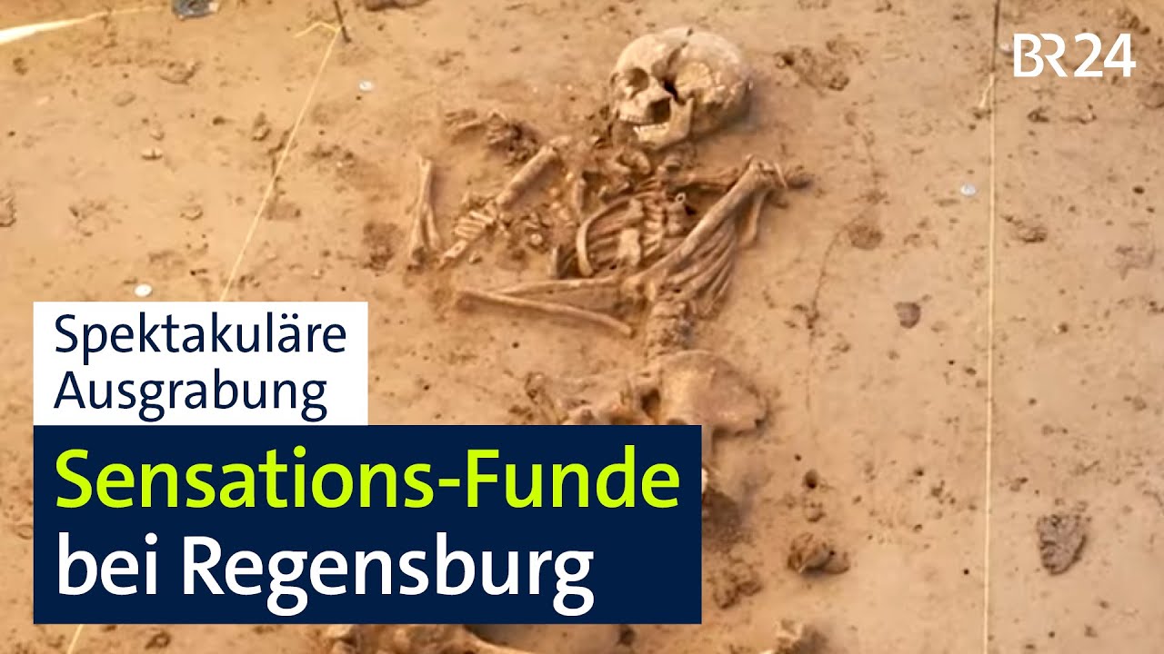 Jahrtausende alte Skelette bei Regensburg entdeckt I Abendschau I BR24