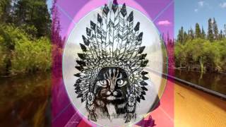 Goost Lee - Syd Barrett cover (swan lee)