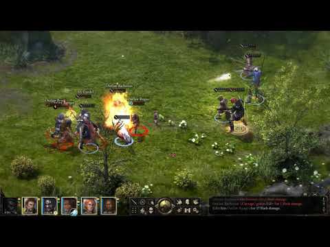 Pillars of Eternity - Task - Bounty Sly Cyrdel