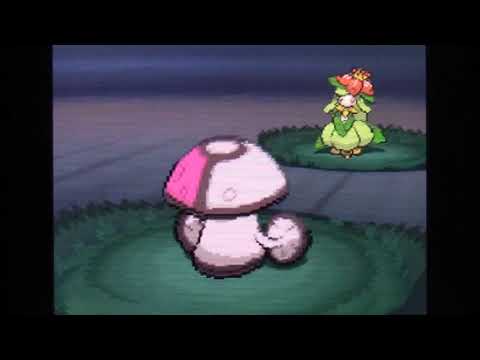 Pokémon White 2 (Nuzlocke) Ep 55 Entering The Victory Road!