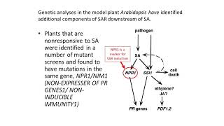 Systemic Acquired Resistance