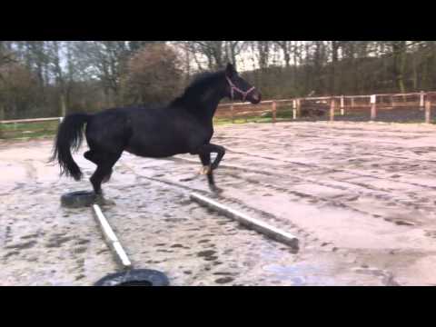 Annabel (Fidertanz / De Niro)