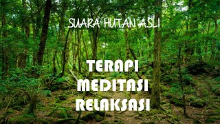 Download lagu Suara hutan asli alami mp3