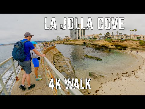 [4K] Walk - La Jolla Cove [Coast](2023) - San Diego, CA (Southern California, USA) - Sea Lion Sounds