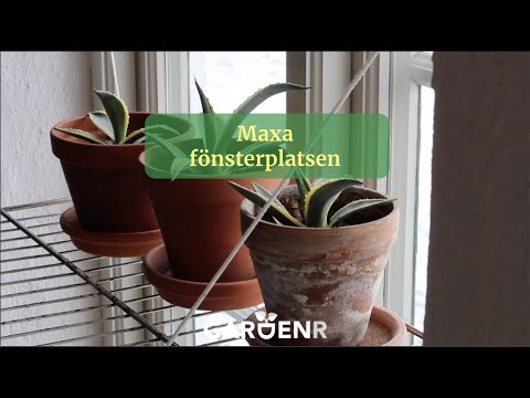 Maxa fönsterplatsen - Trädgårdshacks med GardenR