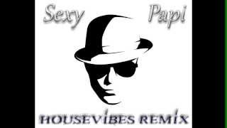 Download lagu Claydee - Sexy Papi (Housevibes 2k13 Electro Remix) mp3