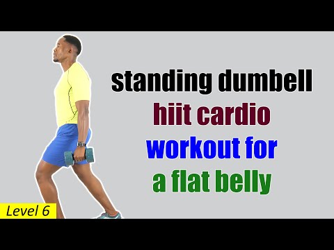 Standing HIIT Workout to Reduce Belly Fat No Jumping No Repeats