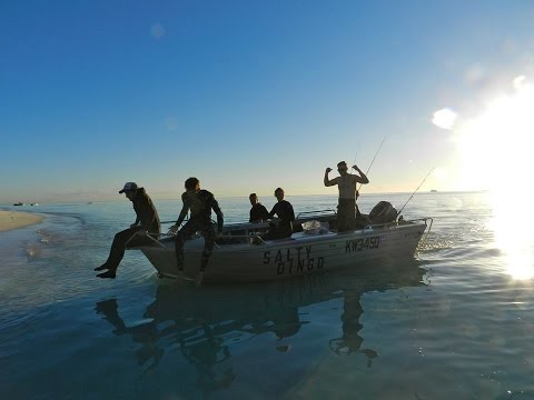 Spearfishing Australia - The East Coast