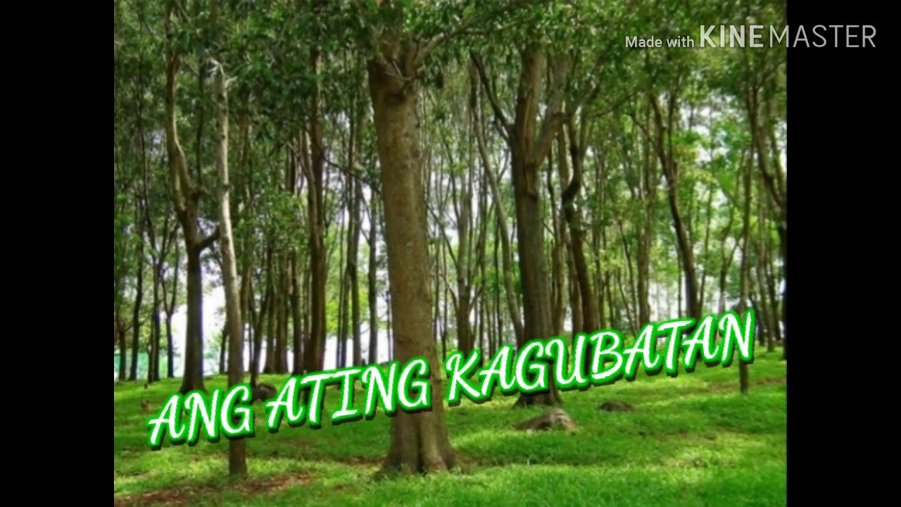 PAANO BA NATIN MAPAPAHALAGAHAN ANG ATING KALIKASAN