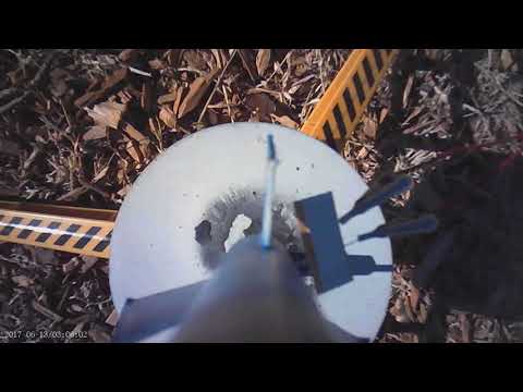 1 Luciano Flight 1 28 23   1675038215857