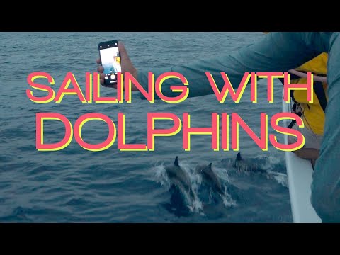 Rolex China Sea Race 2023 on Moonblue2 - Part 2