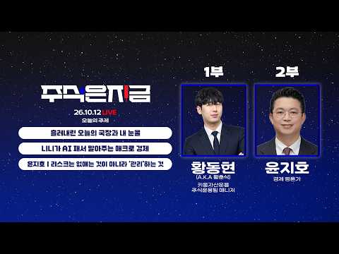 흘러내린 오늘의 국장과 내 눈물ㅣ니니가 AI 패서 말아주는 매크로 경제ㅣ윤지호 '리스크는 없애는 것이 아니라 '관리'하는 것'