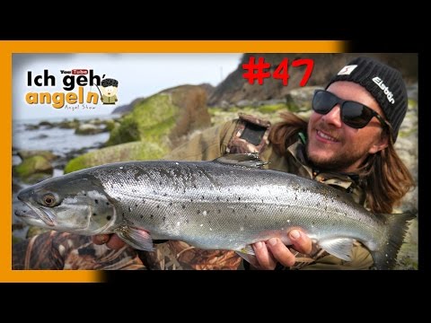 MEFOLIX schlägt zu!