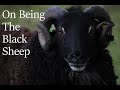The Truth About Being The Black Sheep