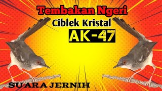 Download lagu Masteran Ciblek Kristal Ak-47 (suara jernih)  mp3