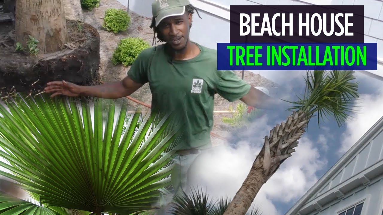 Beach Home Tree installation