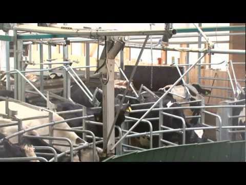 GEA Farm Technologies AutoRotor PerFormer - EN