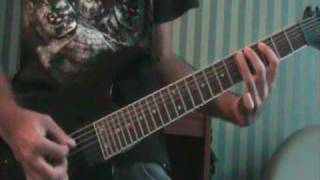 Sirenia - The Fall Within (Guitar Cover)