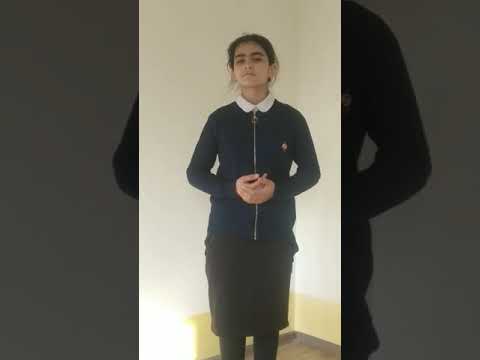 Мирзакулова Негина Мехриддин кизи