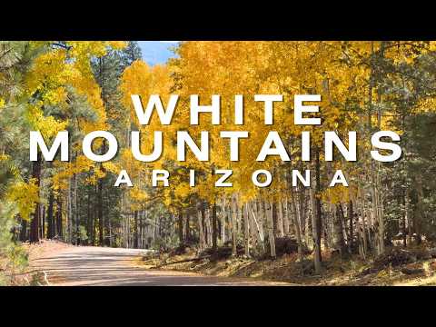 Best Small Towns in Northern Arizona White Mountains 4K