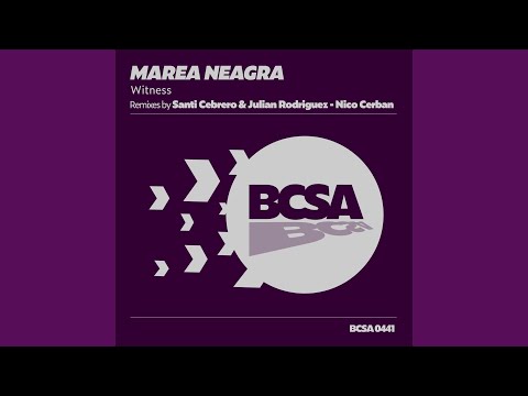 Witness (Nico Cerban Remix)