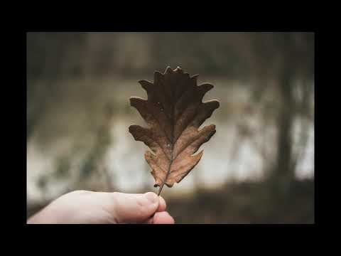 Sfonk - Падащи листа (Черноглед Remix)