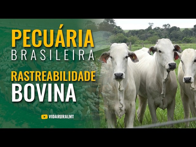 CONFERÊNCIA NACIONAL DEBATE IMPLANTAÇÃO DA RASTREABILIDADE BOVINA