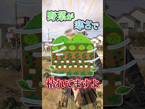 植物を霜から守るにはどうすればよいですか？安全に保つためのヒントとコツ！  庭園