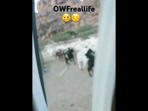 Makalido sa ginawa gatamanan inya😪🥴#followers #highlight #subscribe #followformore#OFWlife