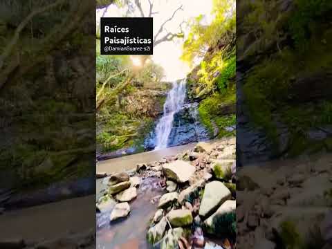 Explorando el Arroyo Laureles 🚶‍♂️💦 #uruguay #turismo #avesdeuruguay #travel #viajarenuruguay