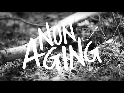 Non Aging - Calling [Official Music Video]