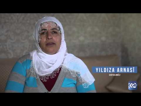 Bajarek û Evînek - Feqî û Sînem