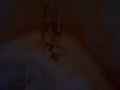 A lycan wrewolf wolf man apparition in my shower stall.