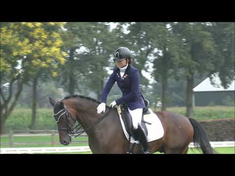 Galoppade Bentelo, 2017  Kür deel 3